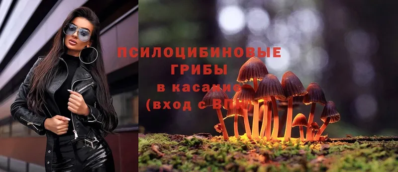 Псилоцибиновые грибы Psilocybine cubensis  даркнет сайт  Киренск 